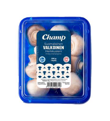 Valkoinen herkkusieni