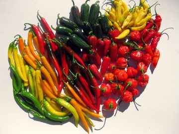 Chili