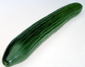 Kurkku