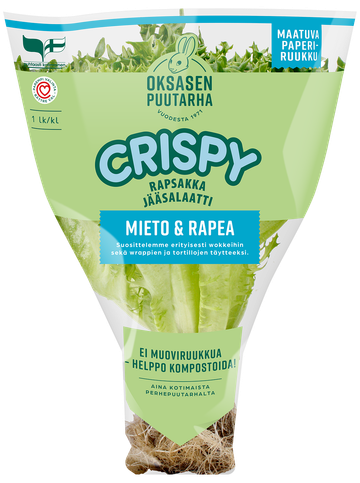 Oksasen puutarha Crispy jääsalaatti ruukku
