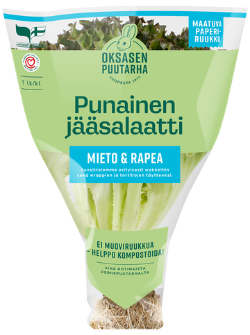 Oksasen puutarha Punainen jääsalaattiruukku