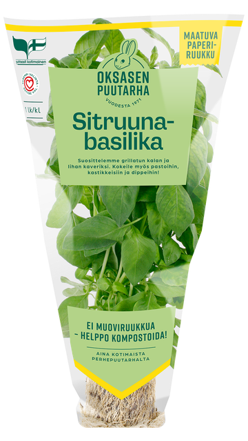 Oksasen puutarha Sitruunabasilika