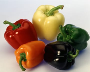 Paprika