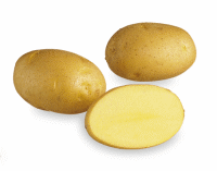 Kiinteä peruna 2 kg