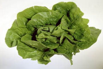 Roomansalaatti