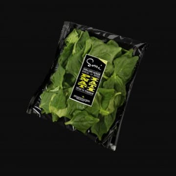Pinaatti