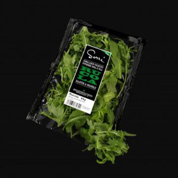 Rucola