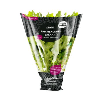 Ikaalisten Luomu Luomu Tammenlehtisalaatti