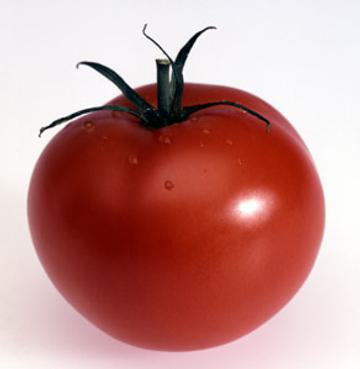 Tomaatti
