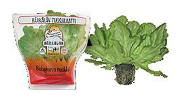 Tulisalaatti
