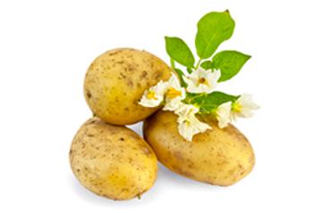 Ruokaperuna 5 kg
