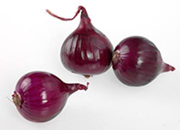 Punasipuli