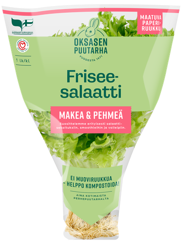 Oksasen puutarha Friseesalaatti