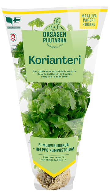 Oksasen puutarha Korianteri