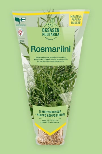 Oksasen puutarha Rosmariini