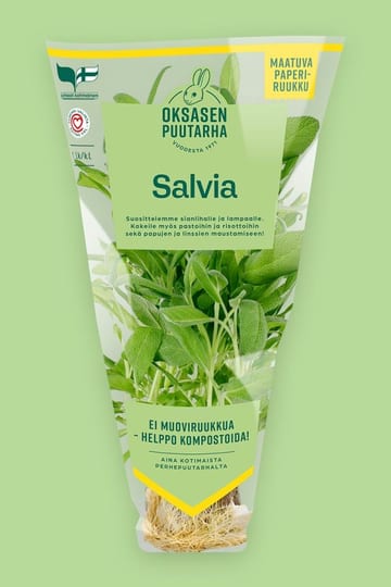 Oksasen puutarha Salvia