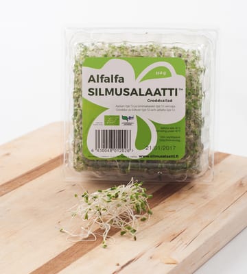 Alfalfa Silmusalaatti