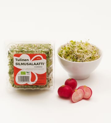Tulinen Silmusalaatti